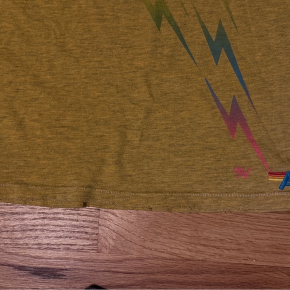 ⚡️Rare Aviator Nation Bolt Gradient Bolt Set ⚡️ - Picture 11 of 16